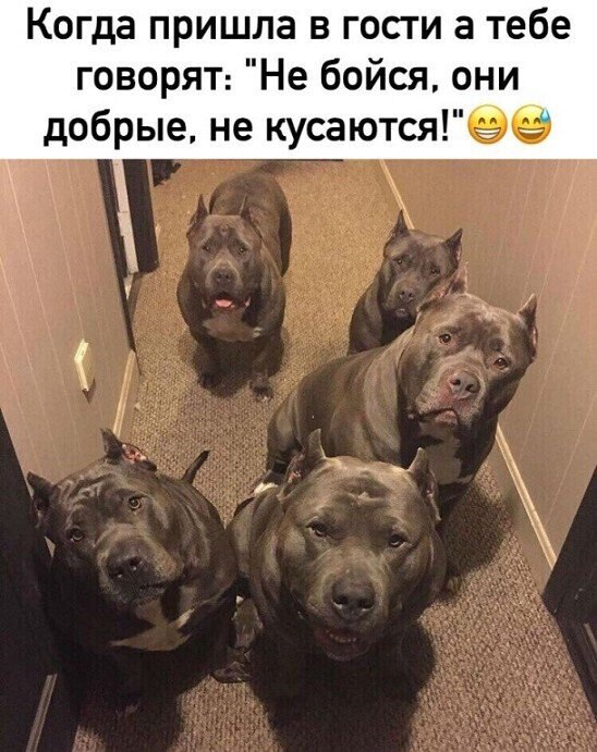   - 19  2025  04:24