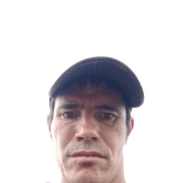 , 40, 