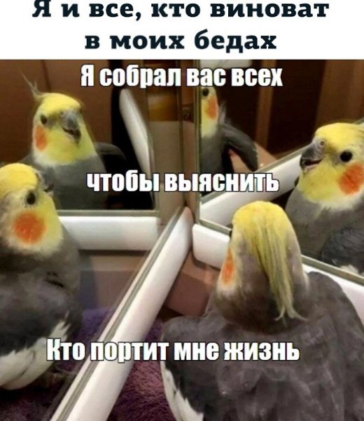 Книга-исповедь, книга-зеркало.Её читаешь не глазами — её проживаешь. Каждая страница звучит как ...