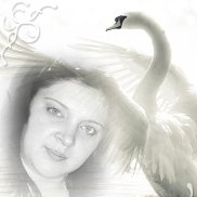 , 39 , 