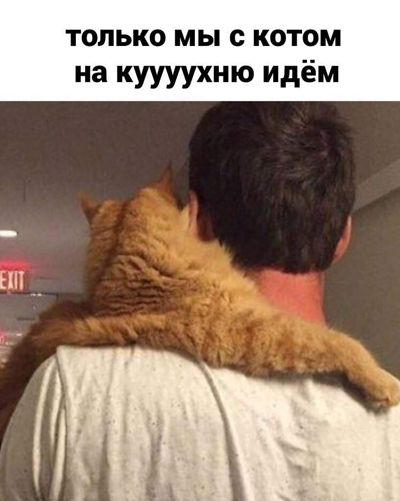 ����... �������? - 4