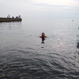 ������, ���������, 65 ���