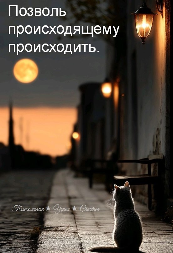 Evgenia - 27 сентября 2025 в 23:38