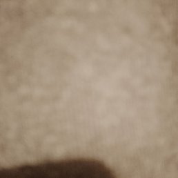 ����, ������, 38 ���