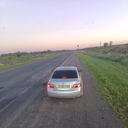���� Fedya, ����, 39 ��� - ��������� 20 ���� 2026