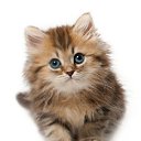 ���� ��������, ��������, 47 ��� - ��������� 28 ������� 2025