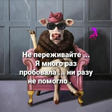 ***Victoria Viktorovna*** - 24  2024  16:21