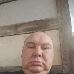 , 39, 