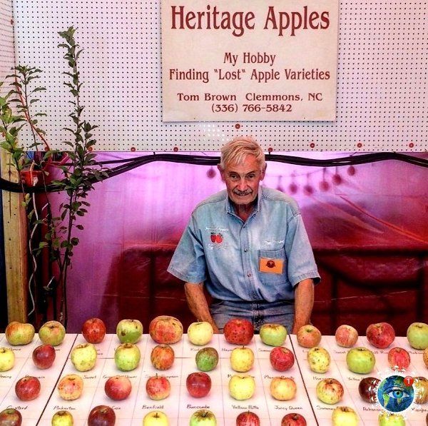 �a��e ���� �o��� c�ac�� ��a�e��! - 3