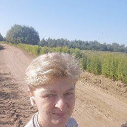 �������, �����