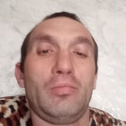 , , 41 