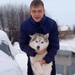 ���� �������, ������, 34 ���� - ��������� 7 ������ 2026