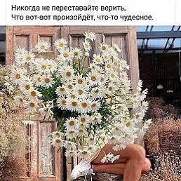 ���� �������, ������ - ��������� 2 ������ 2024