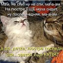 ���� �����, �����, 50 ��� - ��������� 12 ������� 2024 � ������ ���� ����������