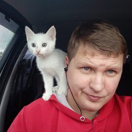 ���� ������, ������������, 41 ��� - ��������� 20 ������� 2026