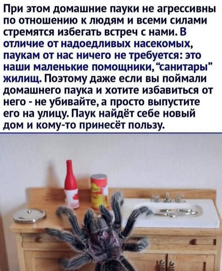 :) - 3