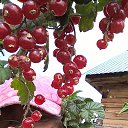 ���� �������, ������, 55 ��� - ��������� 30 ������� 2023 � ������ ���� ����������