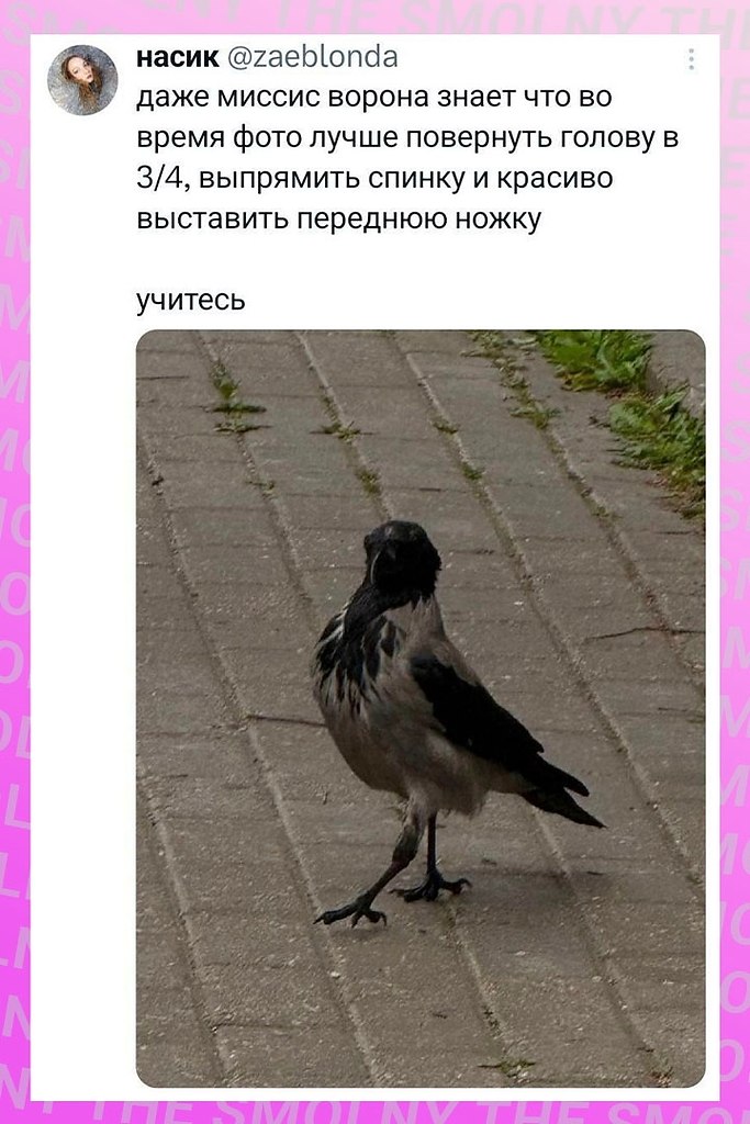 ���� ����������� ������ �� �� ������