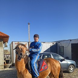 ���������, ���������, 53 ����