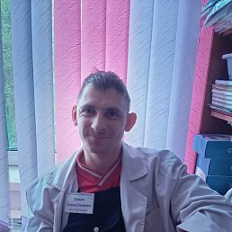 �������, ����������, 33 ����