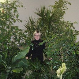 , 55, -