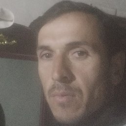 ������, �����-���������, 33 ����