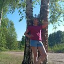 ���� �����, �������, 43 ���� - ��������� 17 ���� 2026 � ������ ���� ����������