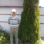 ����, 68 ���, ������