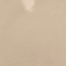 ����, �����-���������, 20 ���