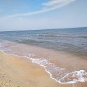 ���� ������, ������, 52 ���� - ��������� 29 ������� 2023