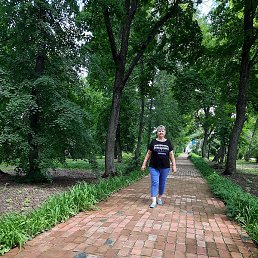 �����, ������������, 62 ����