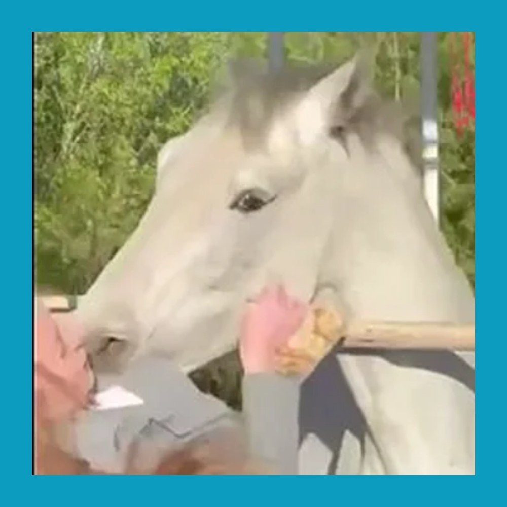 ������ ������ �� ������� � ������� ���.� ������� � ��� ������ ���������� ������� ������� �� ��� �� ... - 3