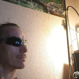 , 51, 