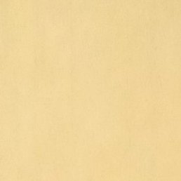 ������, ����, 55 ���