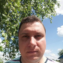, 29, 
