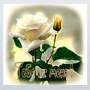 ���� ������, ����������� - ��������� 20 ������� 2025 � ������ ���� ����������