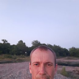 , 41, 