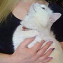 ���� �����, ������ - ��������� 30 ������ 2026 � ������ ������ ��������