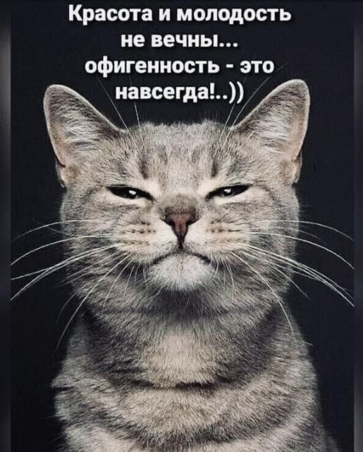   - 4  2025  23:24
