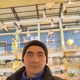 ������, 48 ���, �������