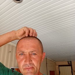 ���� ϸ��, ������, 50 ��� - ��������� 20 ���� 2026