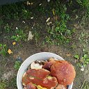 ���� ���������, �����-���������, 49 ��� - ��������� 27 ������� 2025 � ������ ���� ����������