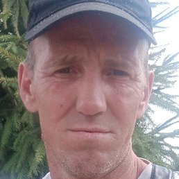 ���� ���������, ��������, 43 ����