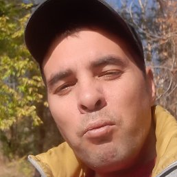 ����, ���������, 40 ���