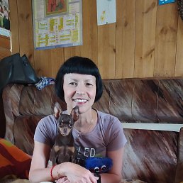 ���� ������, ������, 62 ���� - ��������� 4 ������ 2026