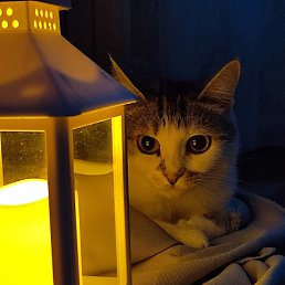 ���� ���, ���������� �����, 20 ��� - ��������� 19 ��� 2025