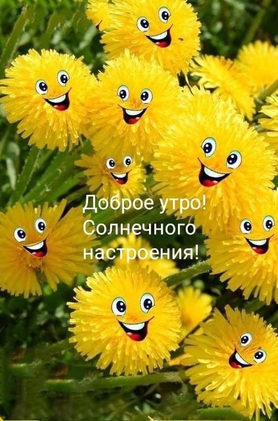  - 10  2025  10:48 - 2