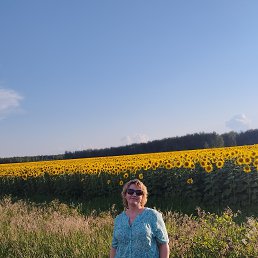 , 43, 
