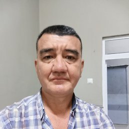 , 53, 
