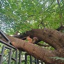 ���� ����, ����, 37 ��� - ��������� 1 ������ 2026